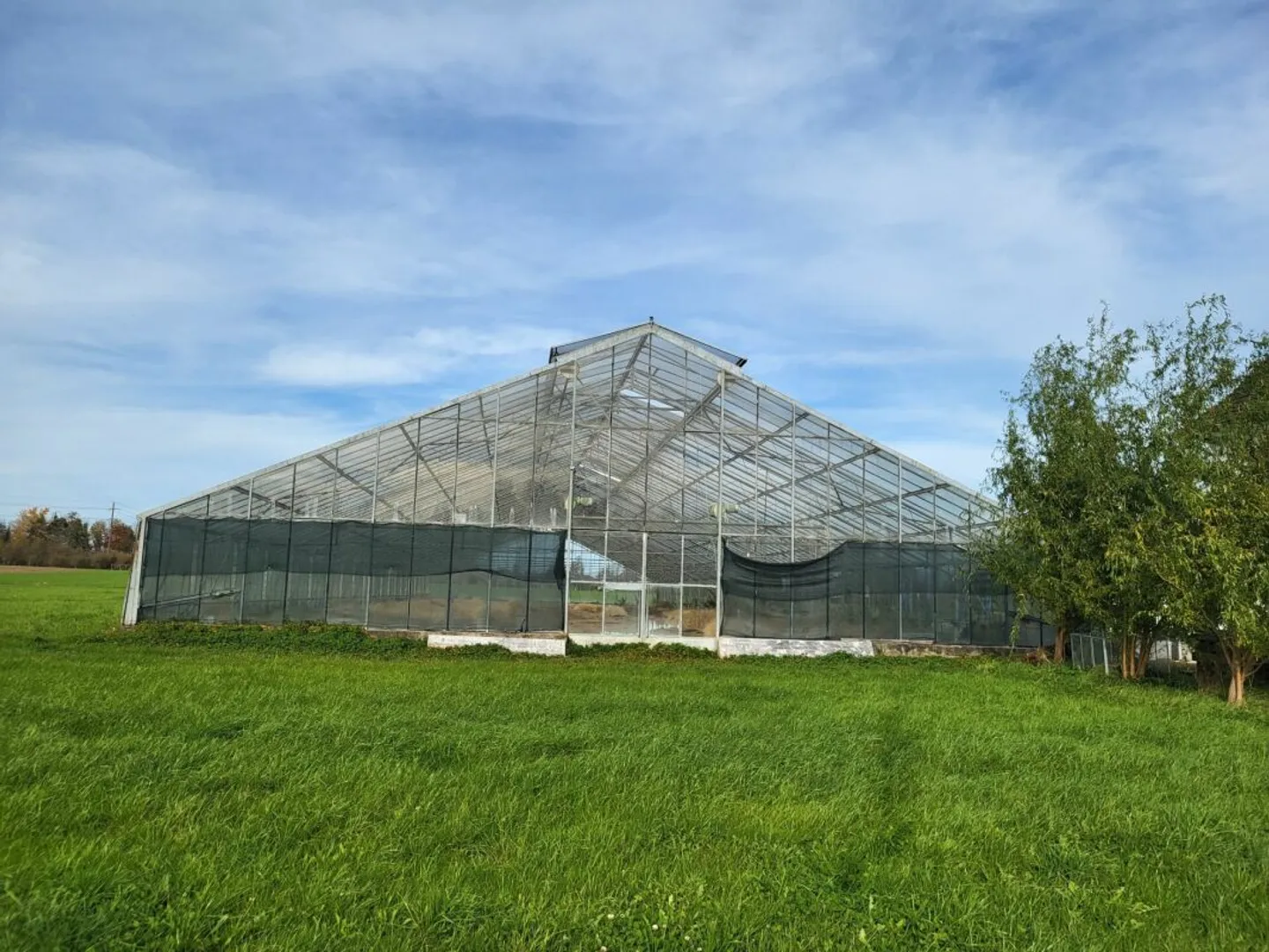 Large Greenhouses near Arbon - Photo 2 of 7