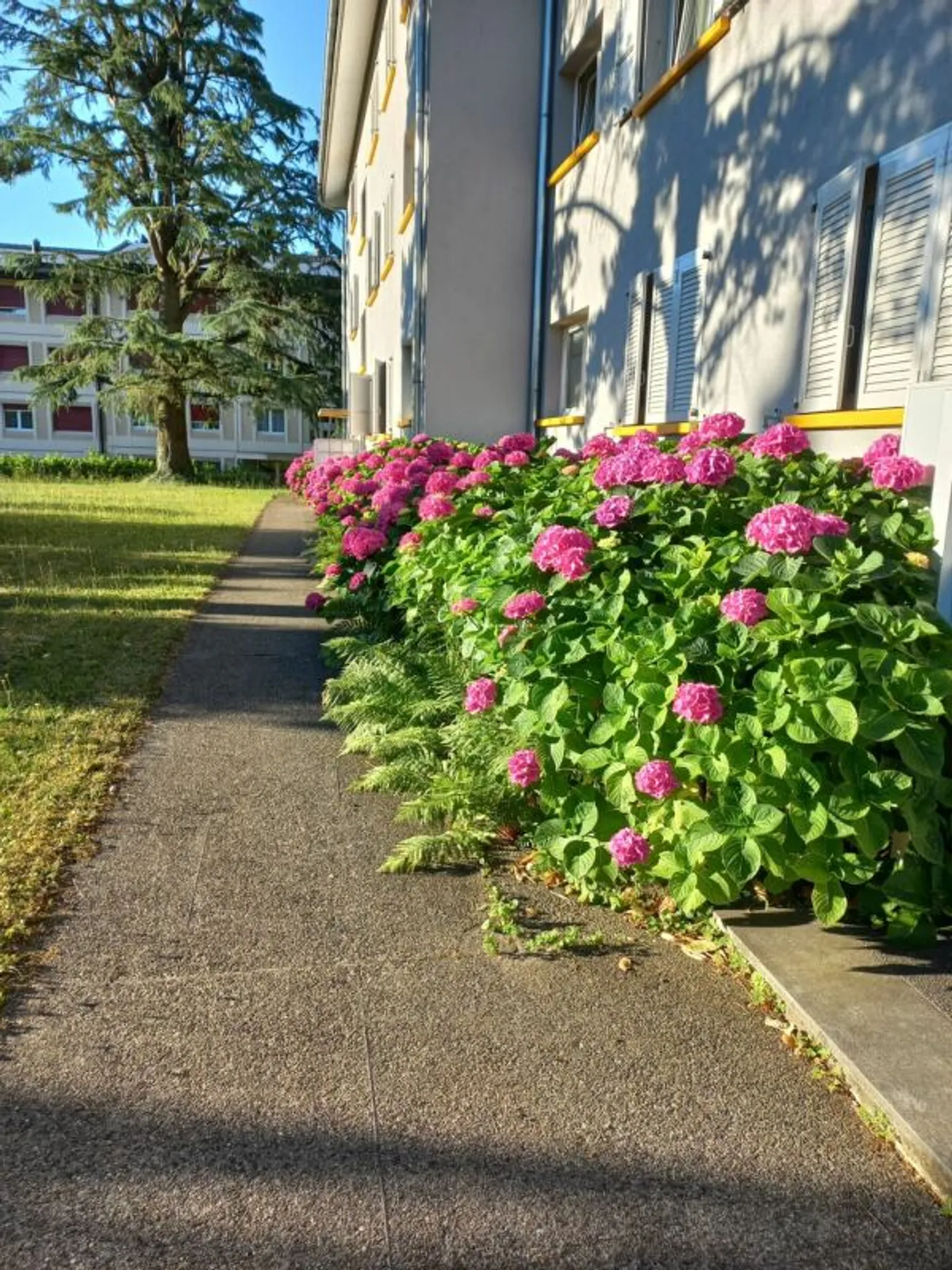 Bel appartamento di 2,5 locali con balcone molto ben posizionato vicino alla stazione dei mezzi pubblici e ai centri commerciali, in una zona tranquilla - Foto 5 di 5