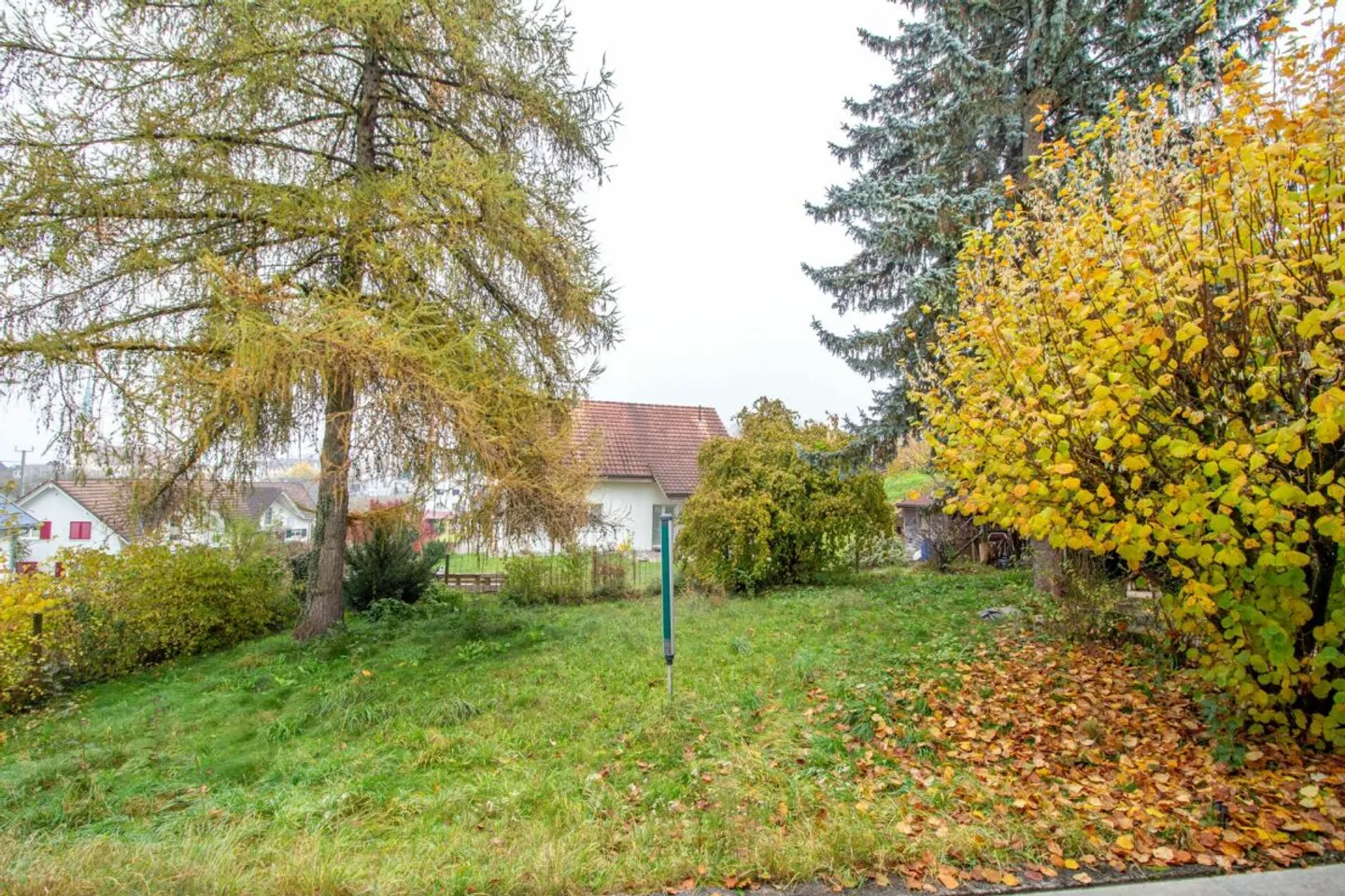 Detached single-family house with potential, separate large workshop/garage building - Photo 5 of 13