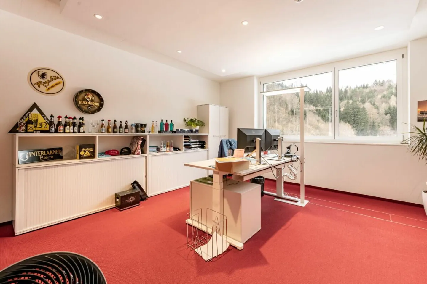 Il tuo nuovo ufficio e spazio commerciale spazioso a Matten vicino a Interlaken - Foto 12 di 13
