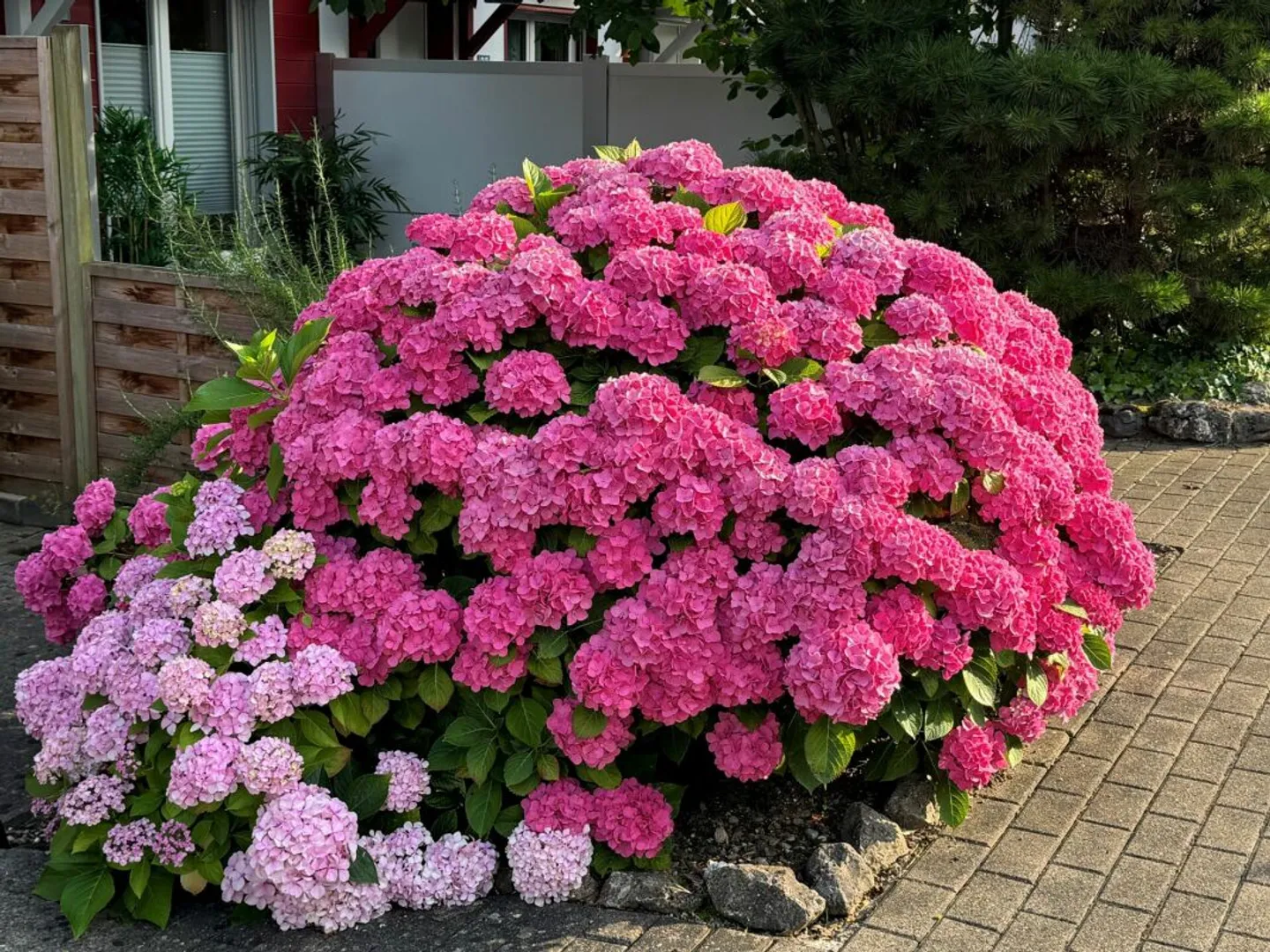 Attraktives Haus mit Ausbaupotenzial - Foto 5 von 6