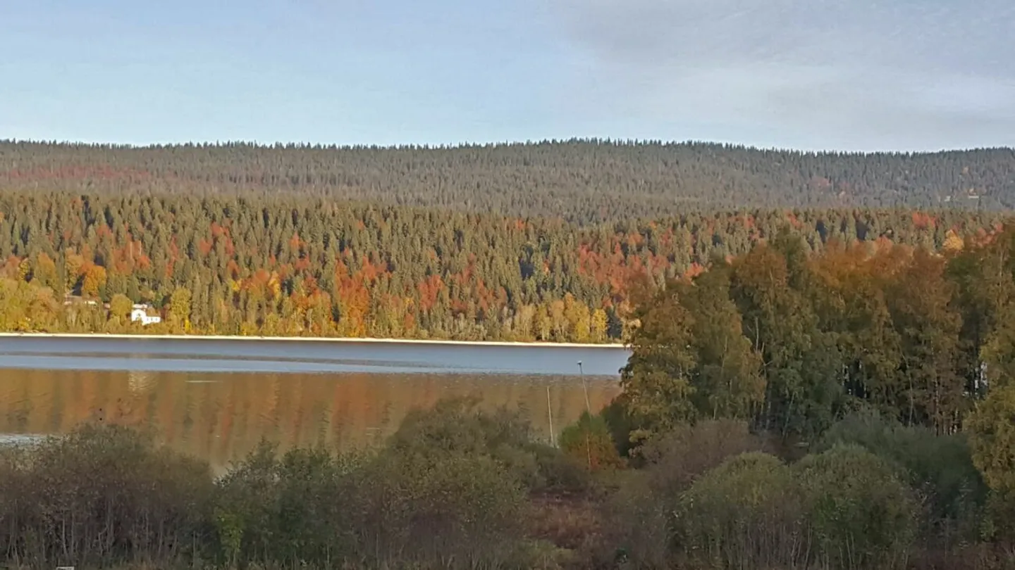 Un lieu de vie magique et enchanteur - Foto 13 di 13