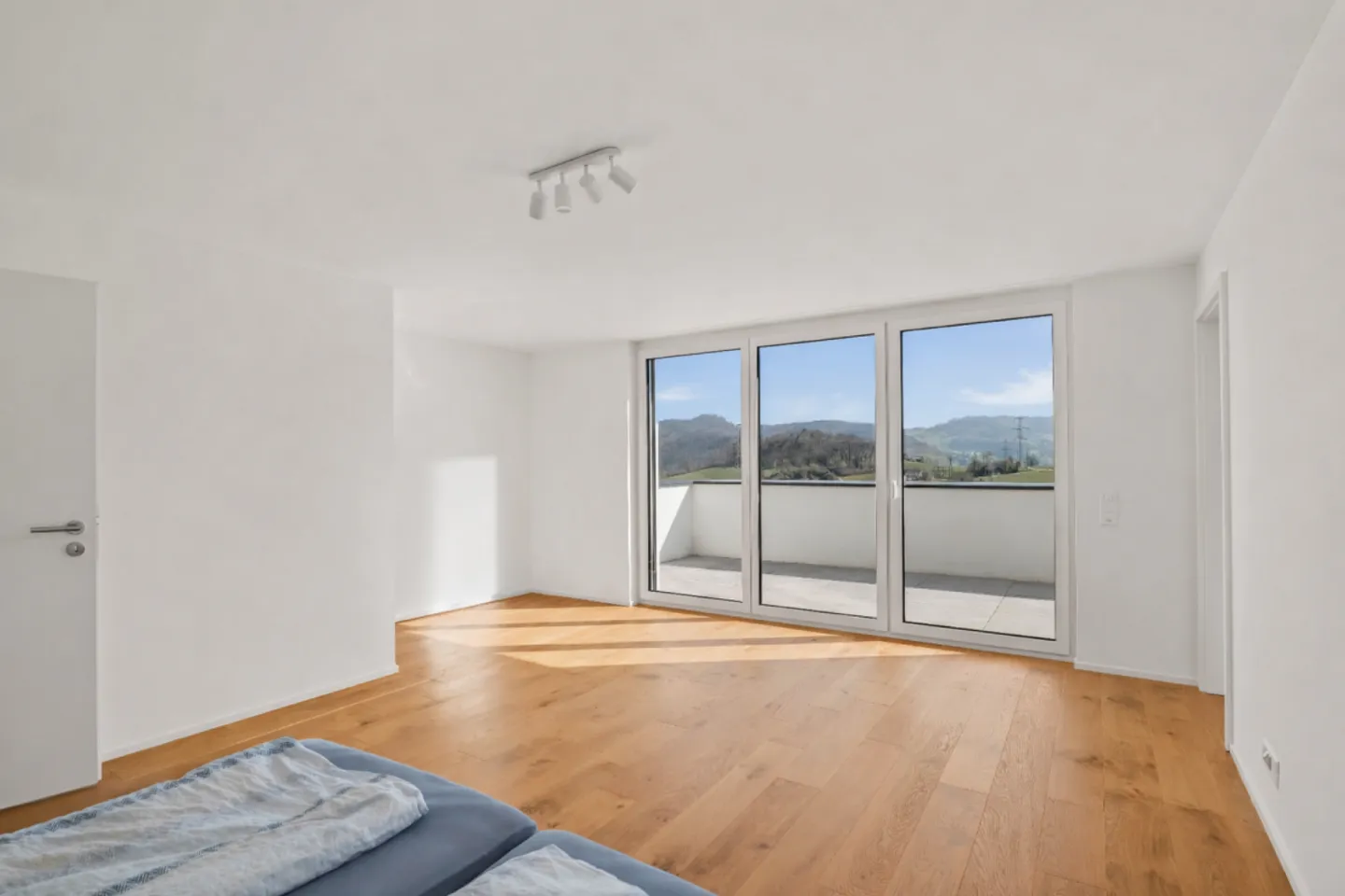 Living with a View - Your New Home in Lausen - Photo 7 of 13