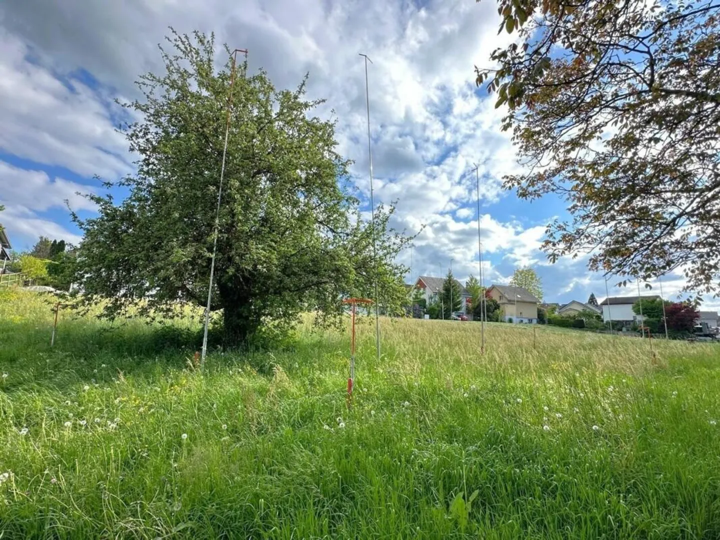 Your new home in the green - Project Cloverleaf Pfyn - Photo 5 of 5