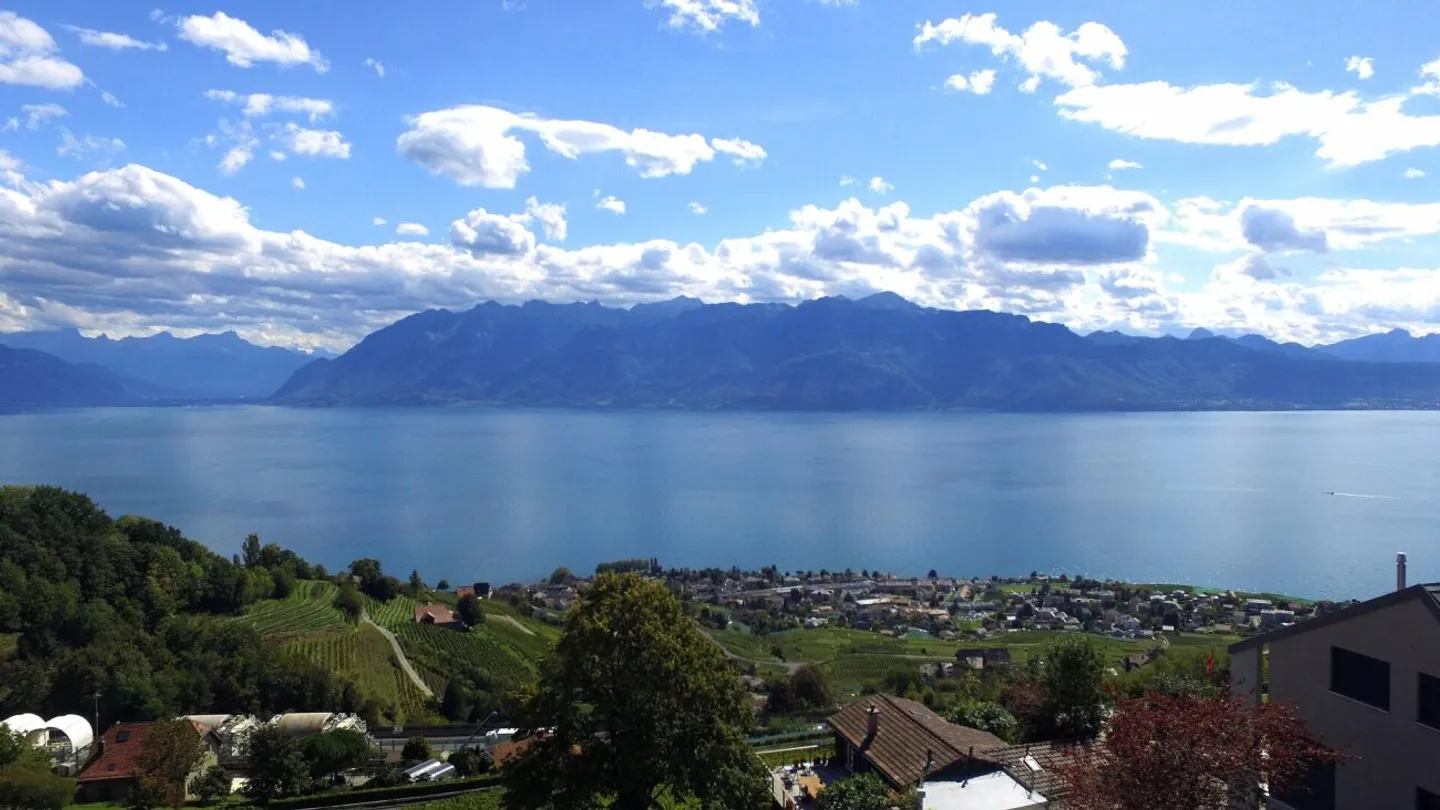 Duplex neuf avec vue sur le Léman - Photo 8 sur 8