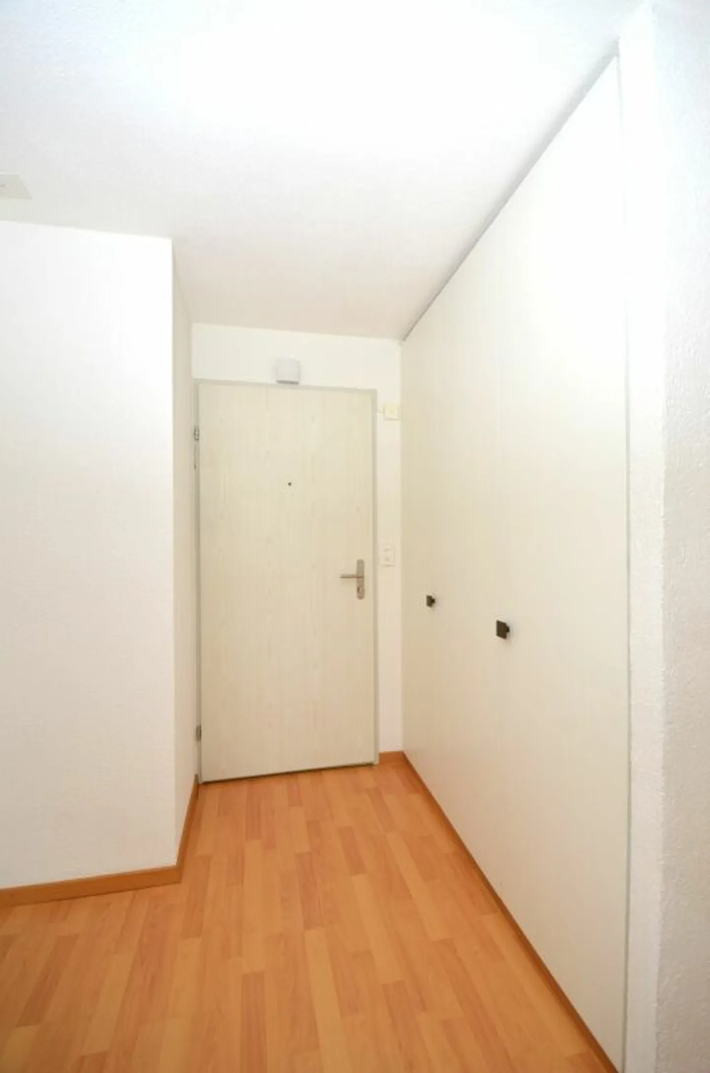 Felice di tornare a casa - Foto 4 di 12