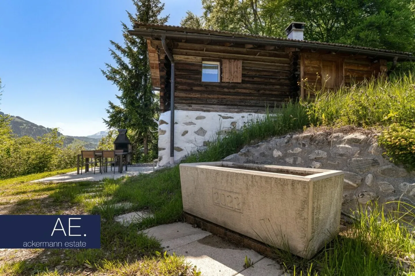 Alpine Cabin in the Midst of Vast Mountain Meadows - Photo 3 of 11
