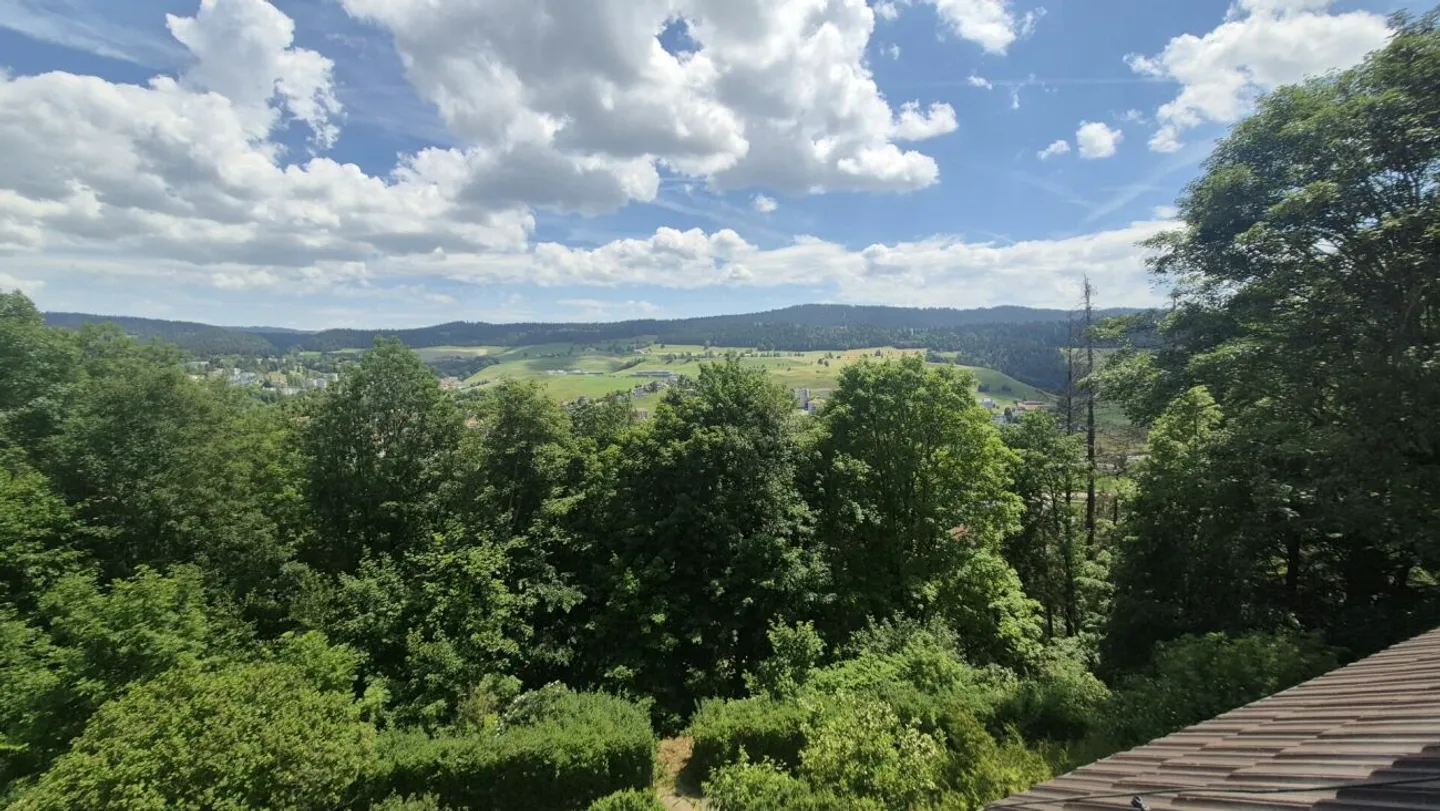 Magnifico appartamento di 2 stanze alle porte della natura - Foto 12 di 12