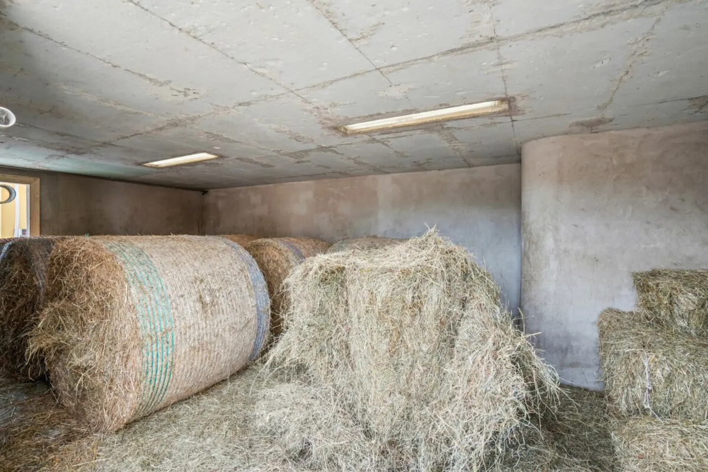 *NUOVO PREZZO* - CASA FRESCAMENTE RISTRUTTURATA CON PISTA DA EQUITAZIONE, PIAZZA ROTONDA E GRANDI AREE PASTORALI - Foto 13 di 13