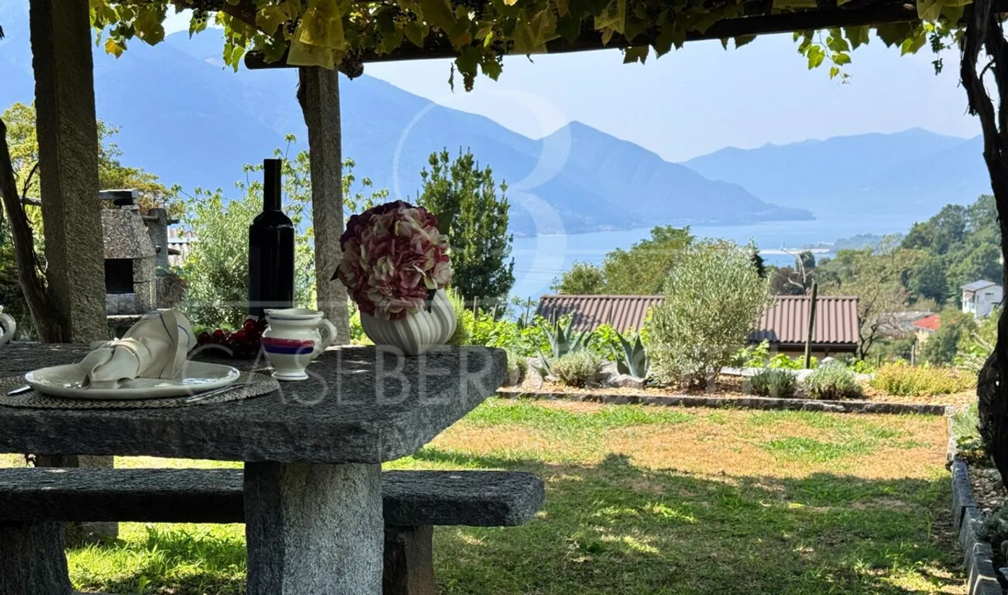 Vines. Garden. Lake. - Photo 3 of 9