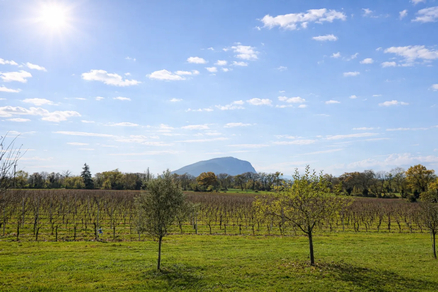 Villa de standing avec un vaste terrain à Presinge (GE) - Un cadre rare et paisible proche de Genève - Foto 6 di 6