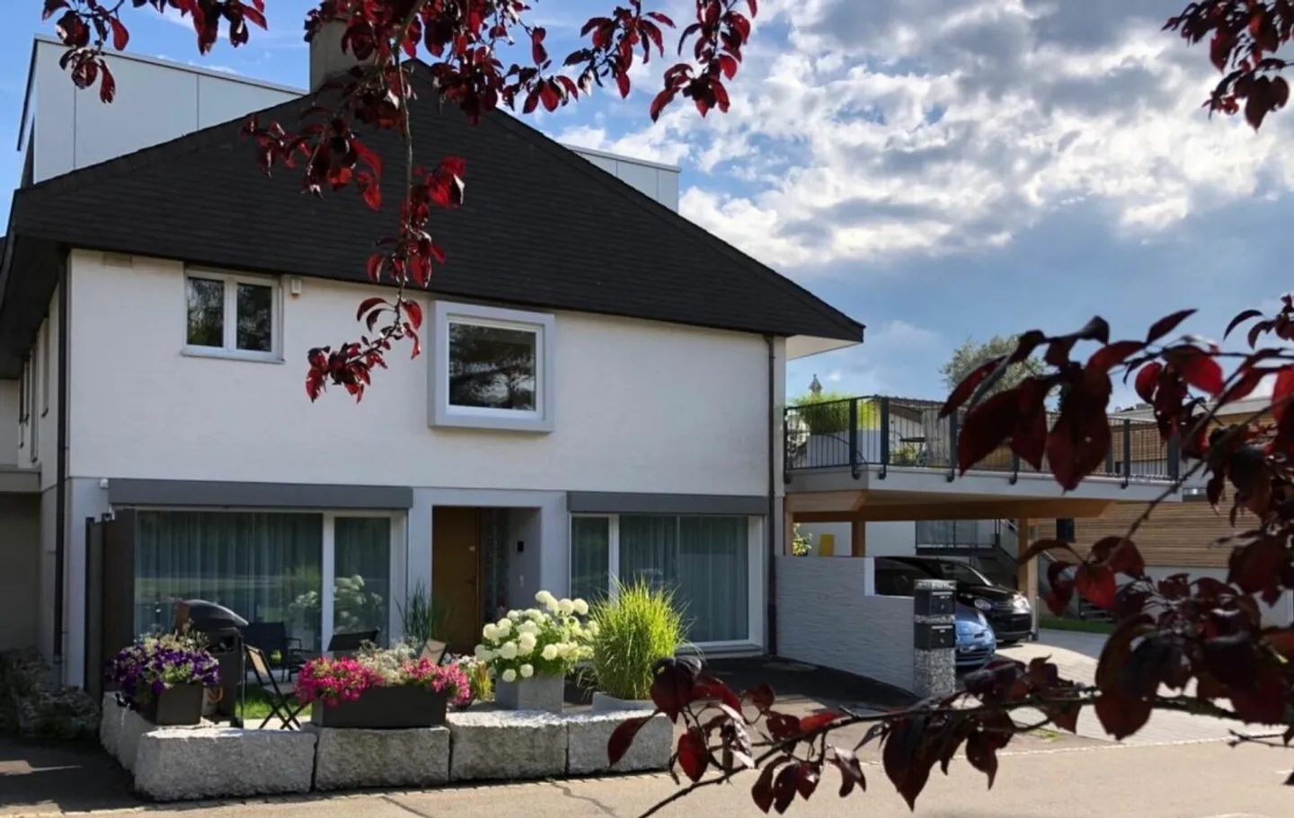 Libertà invece di obbligo - Foto 1 di 6