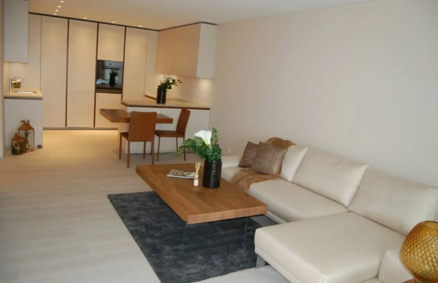 Luxurious 2.5 Room Apartment with Lake View, Large Sun Terrace, Swimming Pool and Wellness Area - Photo 7 of 13