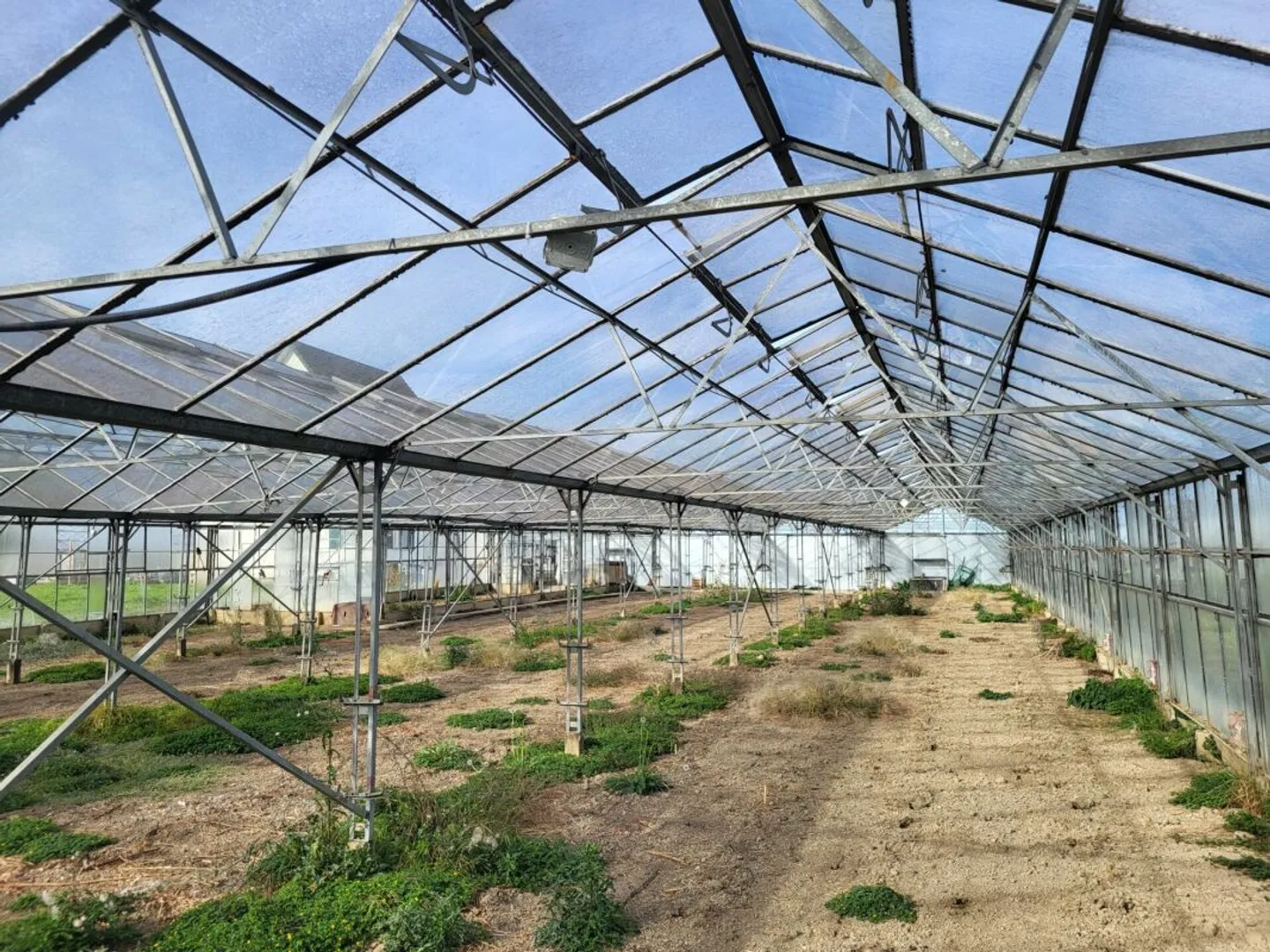 Large Greenhouses near Arbon - Photo 4 of 7