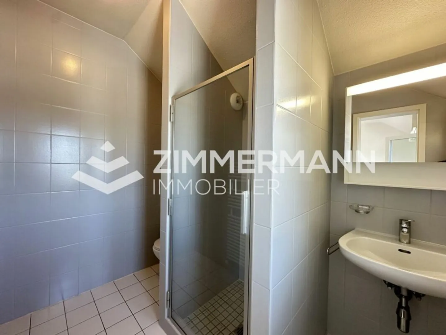 5 pièces en attique avec deux terrasses - Photo 5 sur 12