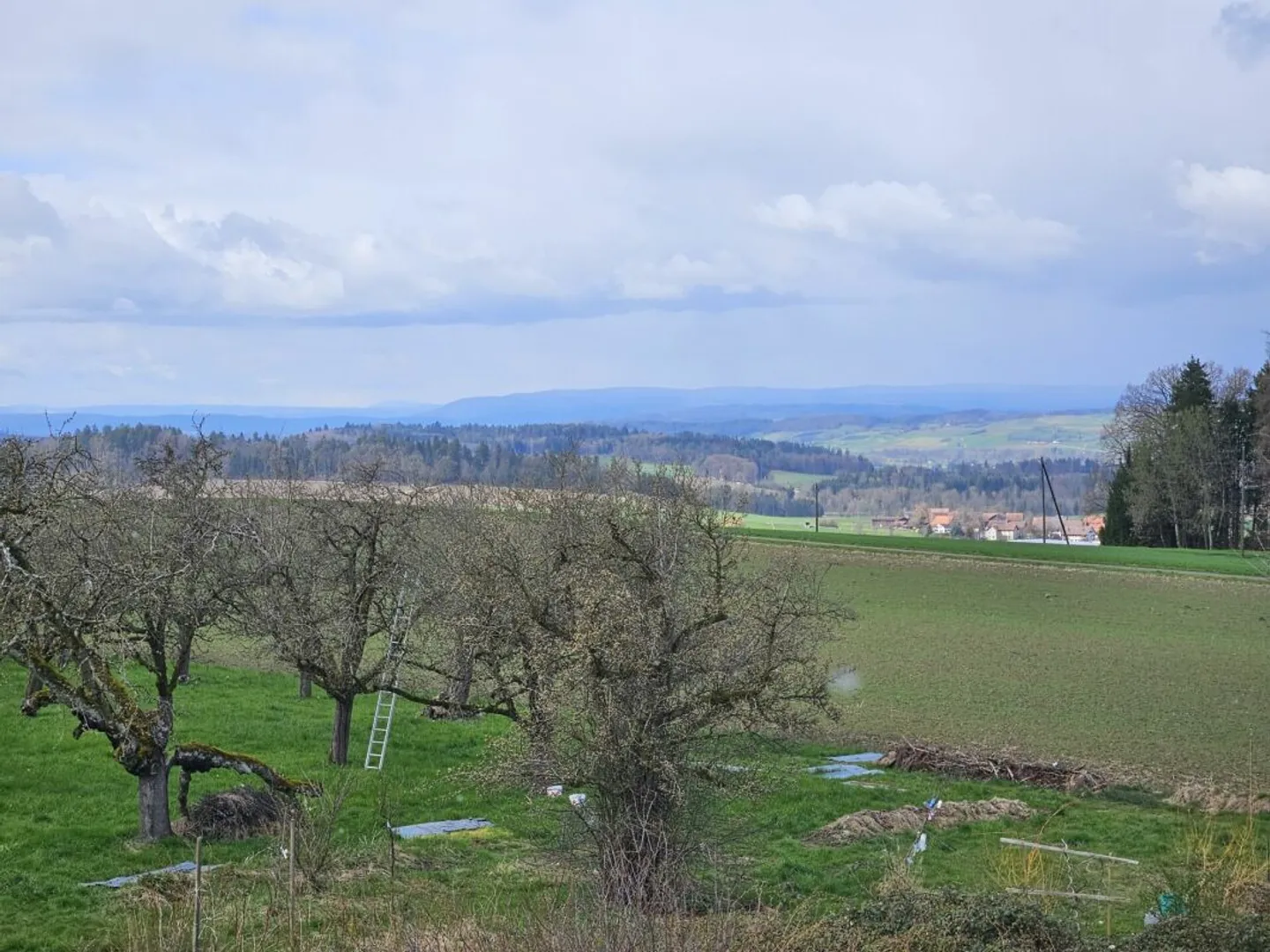 Neues 2.5-Zimmer-Loft - Foto 1 von 7