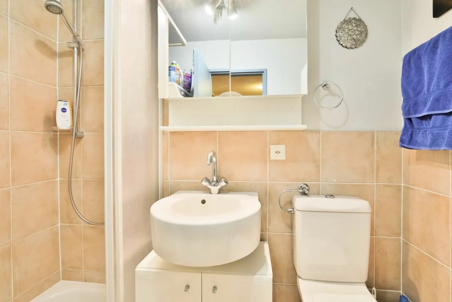 Appartement au bord du lac - Photo 12 sur 13