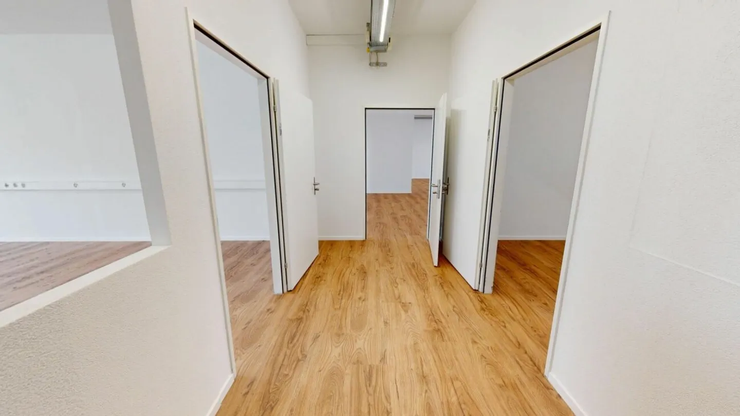 Two Attractive Rental Properties for Office, Studio and Commercial Use - Photo 2 of 13