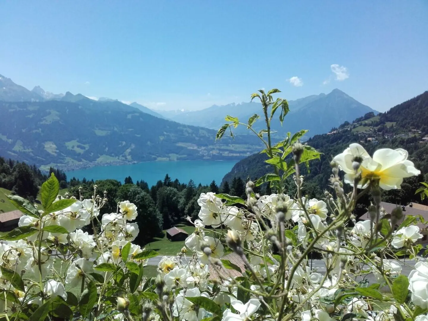 Vue panoramique dégagée sur le lac de Thoune et les chaînes de montagnes environnantes - Photo 5 sur 13