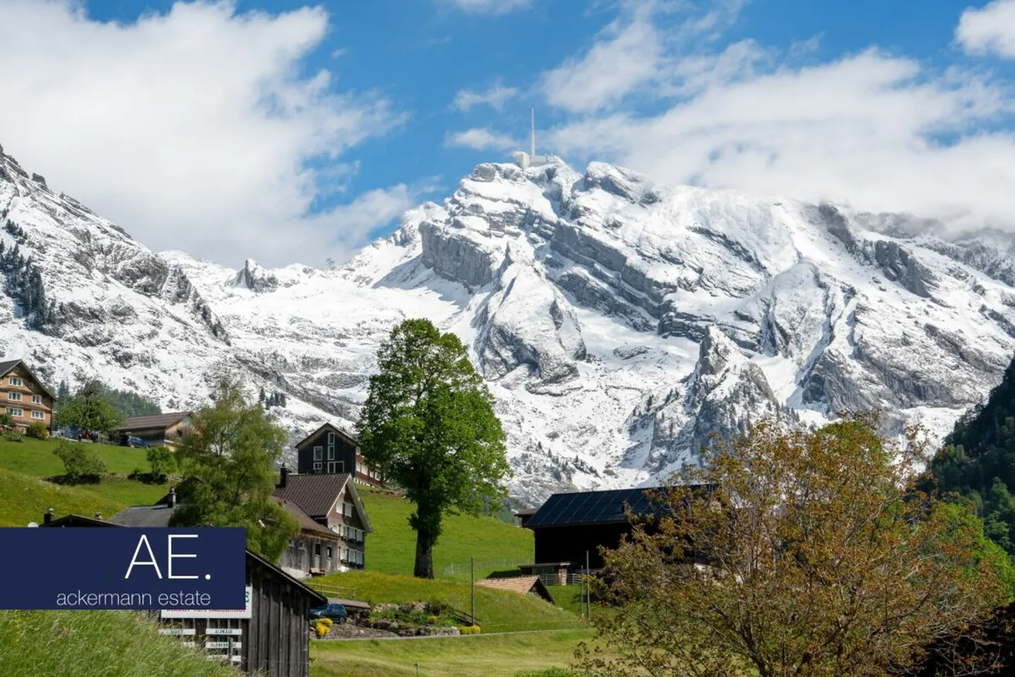 Alpine Eleganz - Zwischen Tradition und Moderne - Foto 4 von 12