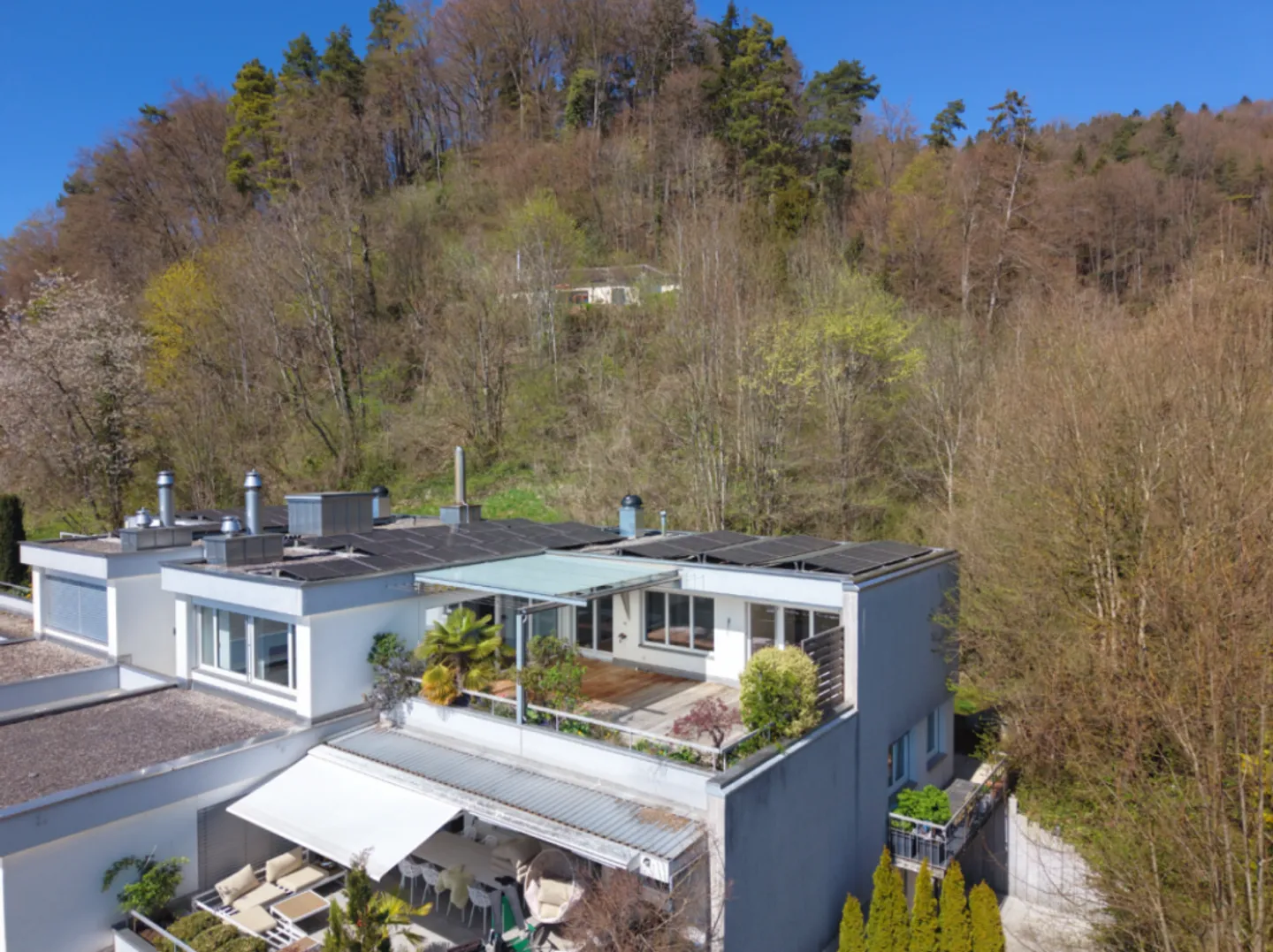 Nature, Paix et Soleil - Vivre sur l'Üetliberg avec une Terrasse Impressionnante - Photo 10 sur 11