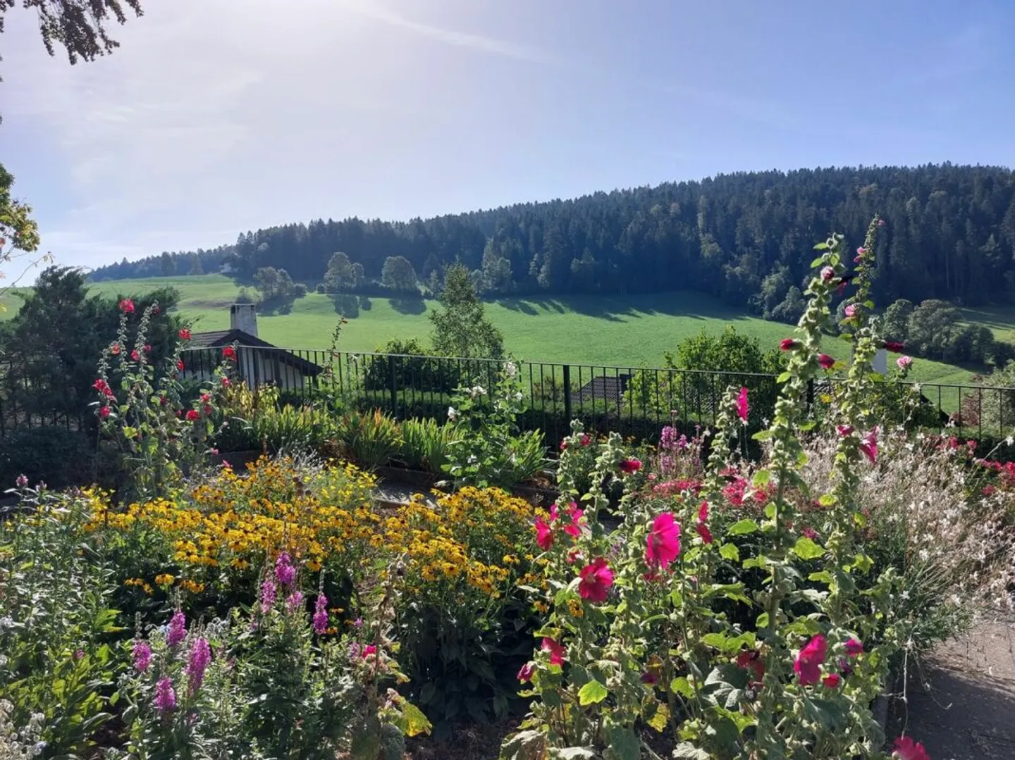 Beautiful individual villa near the forest - Photo 7 of 13