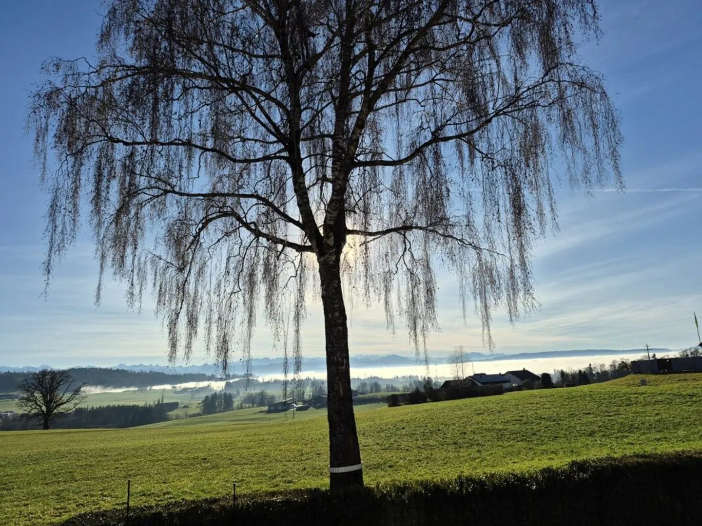 Living Above the Fog in Beautiful Zurich Oberland - Photo 3 of 13
