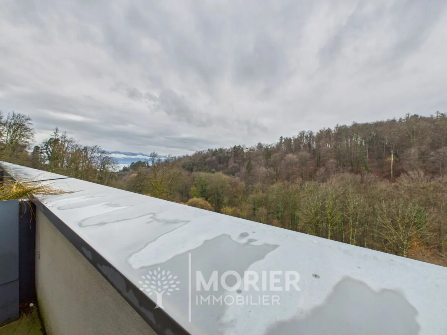 Appartement Charmant à Belmont - Photo 7 sur 7