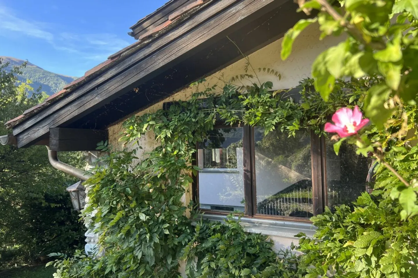 Living in the Green - Single-family house with beautiful views and plenty of design potential - Photo 11 of 13