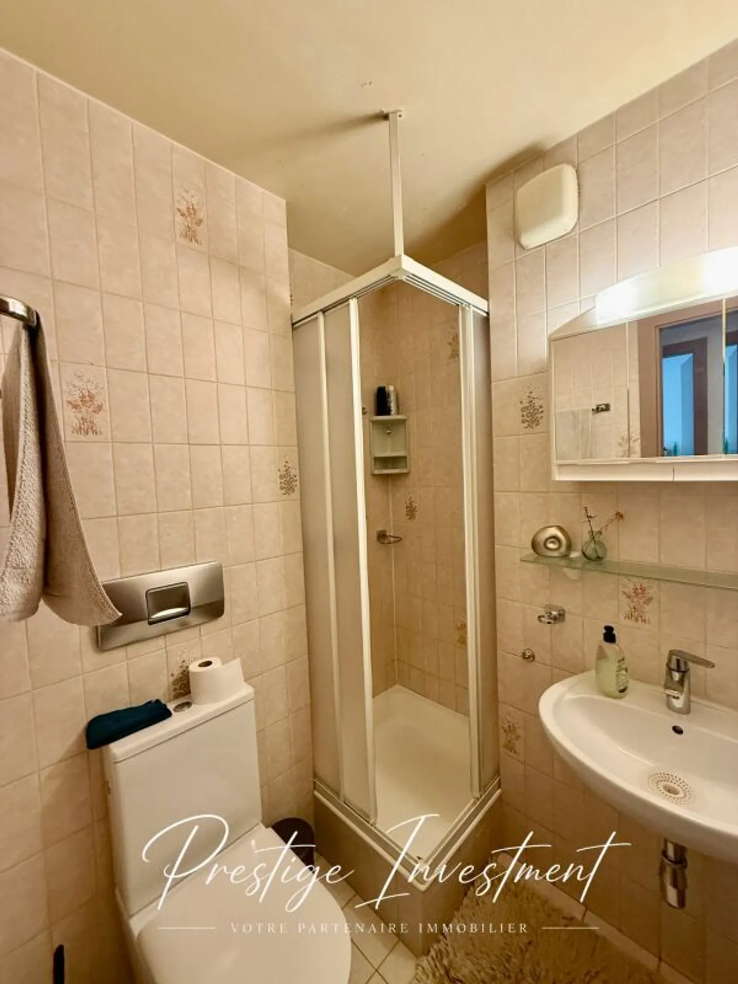 APPARTAMENTO LUMINOSO DI 5 LOCALI, 119 M2, SION - Foto 10 di 13