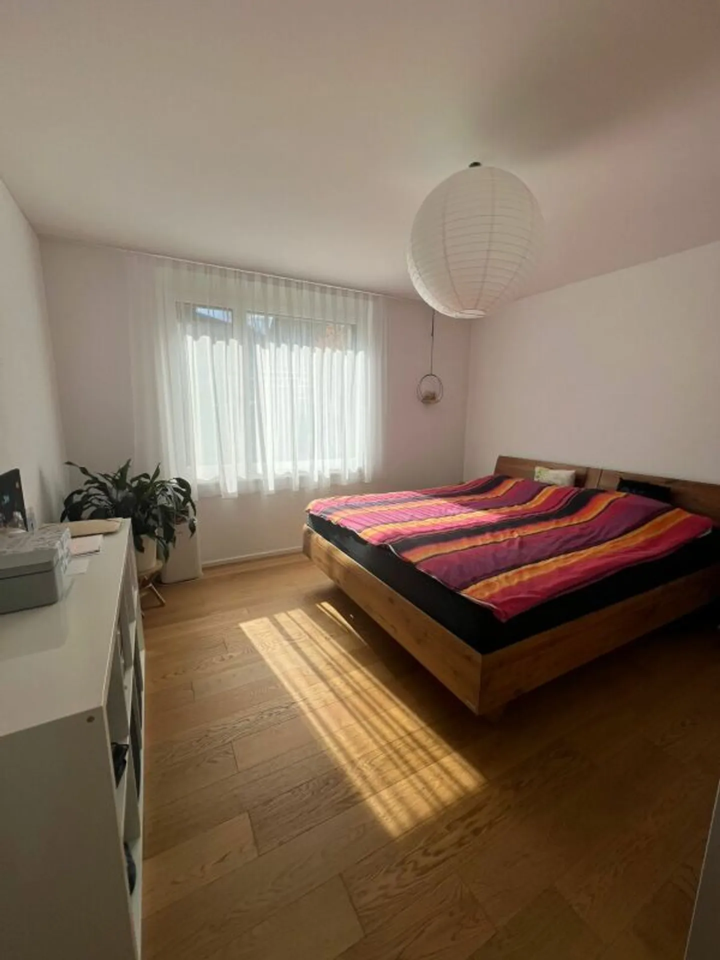 Paradis dans le vert ! - Photo 3 sur 10