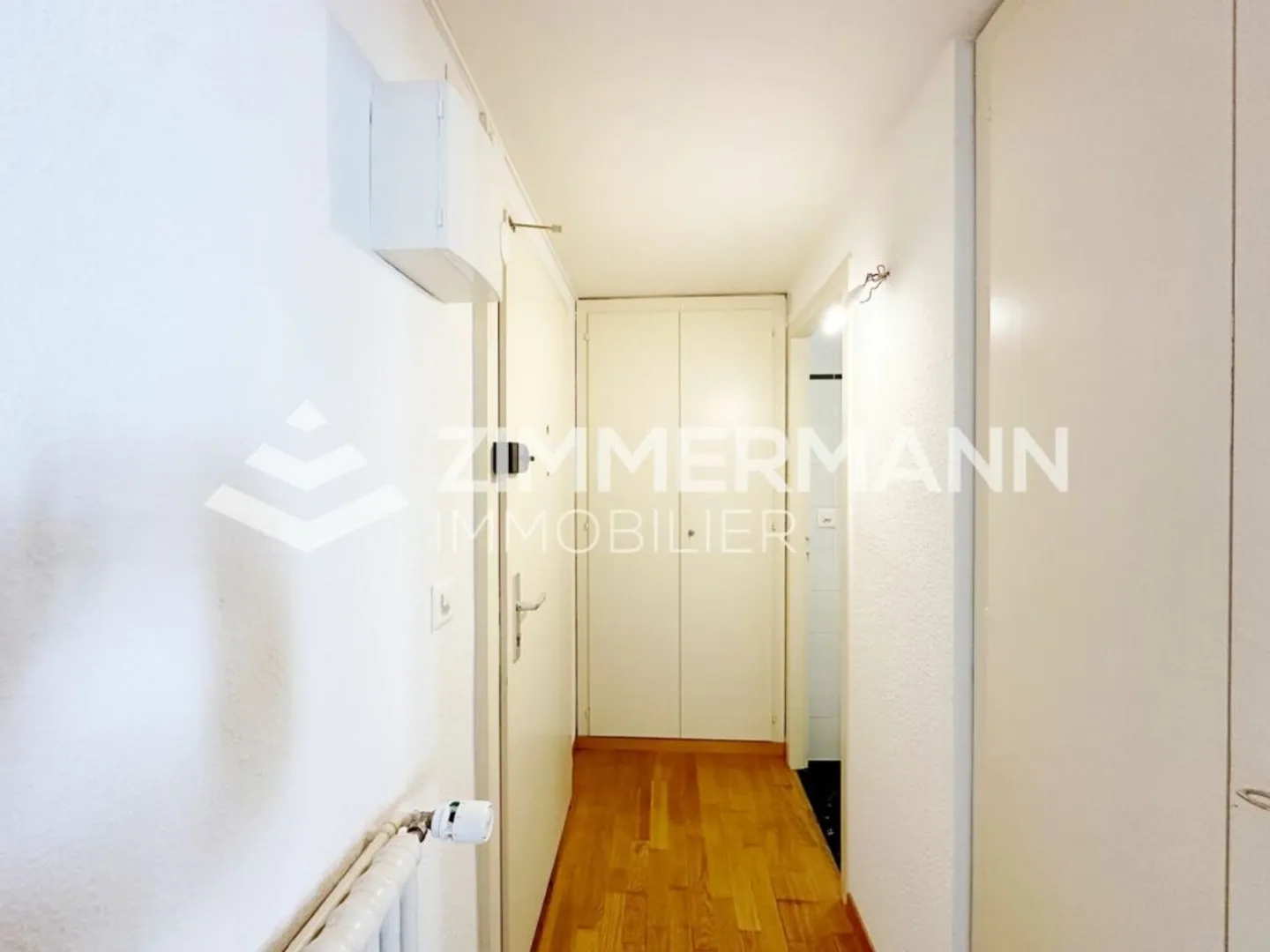 Old Carouge - Spacious studio with character! - Photo 2 of 5