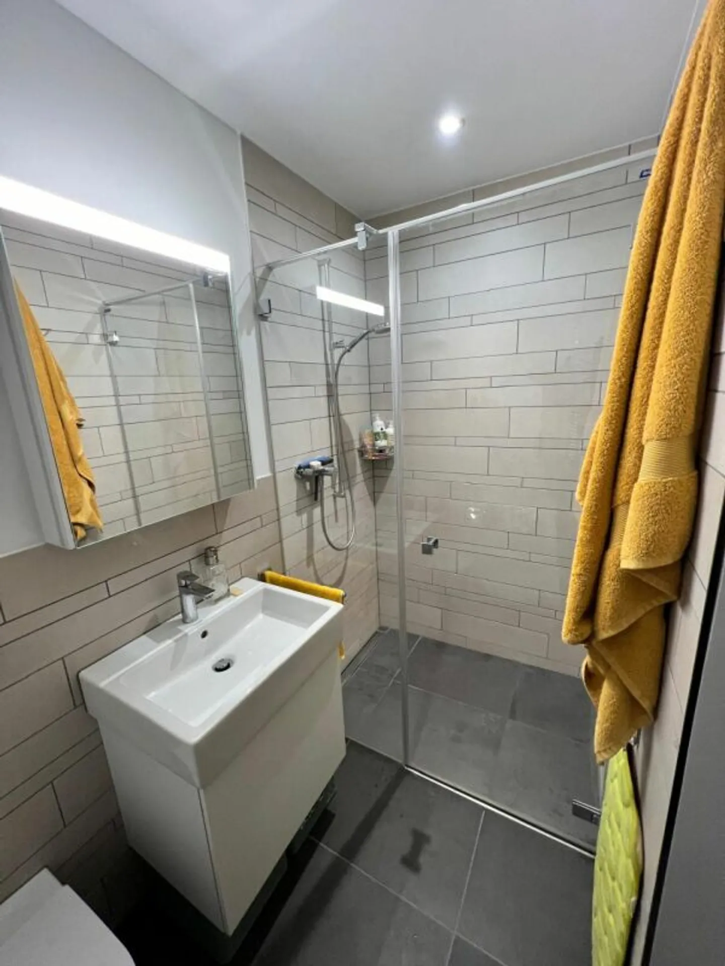 Modernes Studio in Flims - Foto 5 von 12