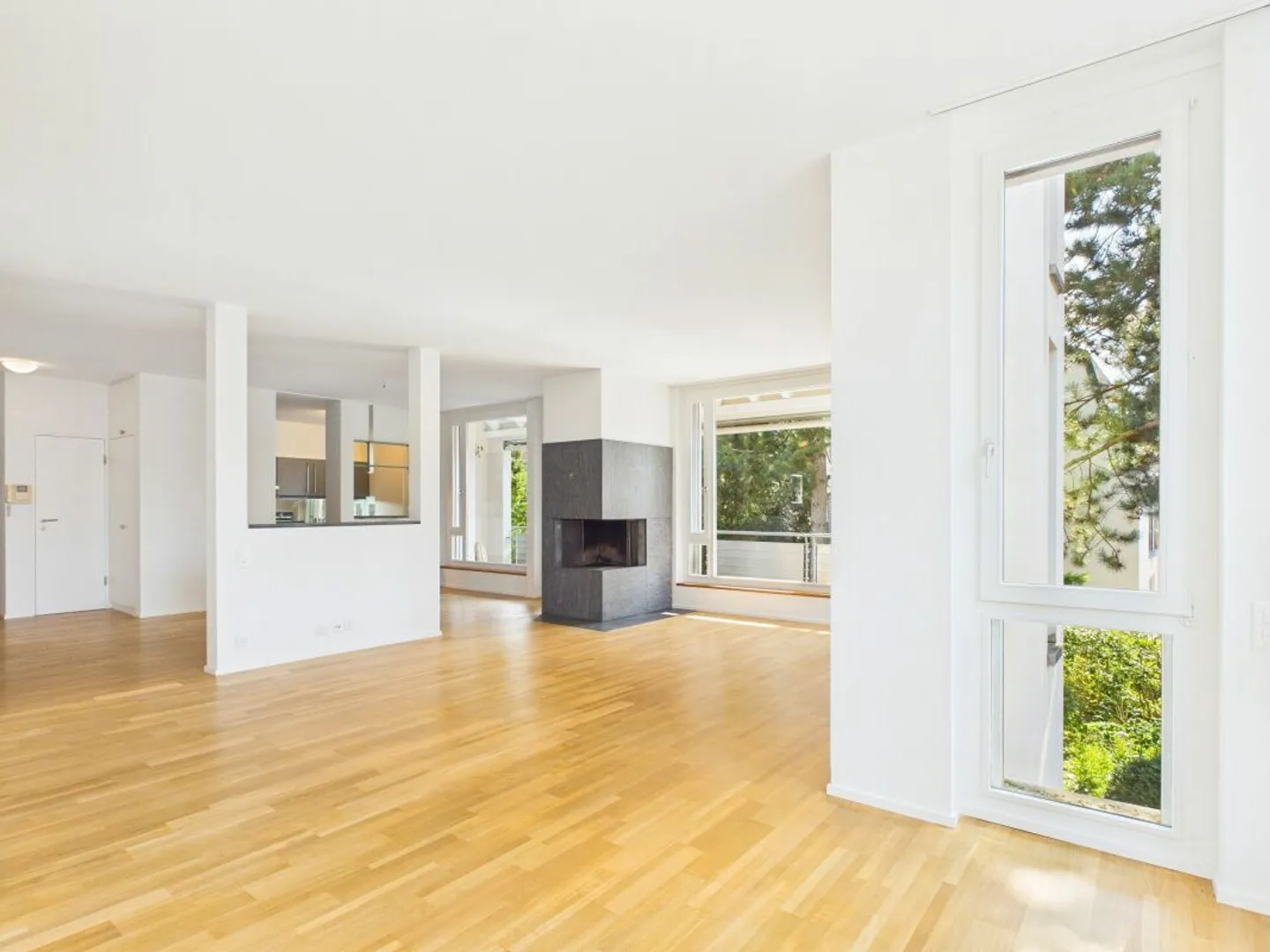 Vie élégante sur Bruderholz avec cheminée, balcon, terrasse et jardin ornemental - Photo 2 sur 13
