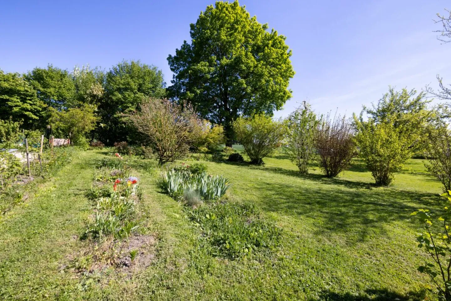 Ein Platz im Paradies mit 7 Zimmern - Foto 11 von 13