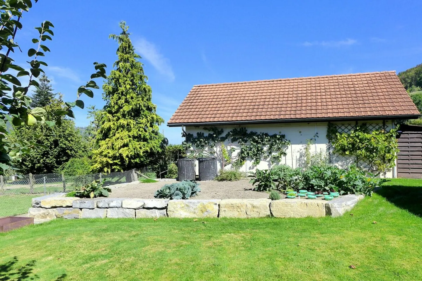 Charmante Wohnung mit Garten - Foto 8 von 13