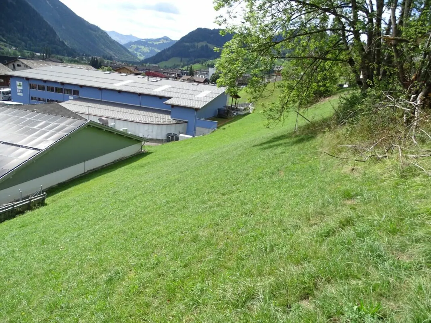 Sonniges Bauland in Zweisimmen - Foto 6 von 10
