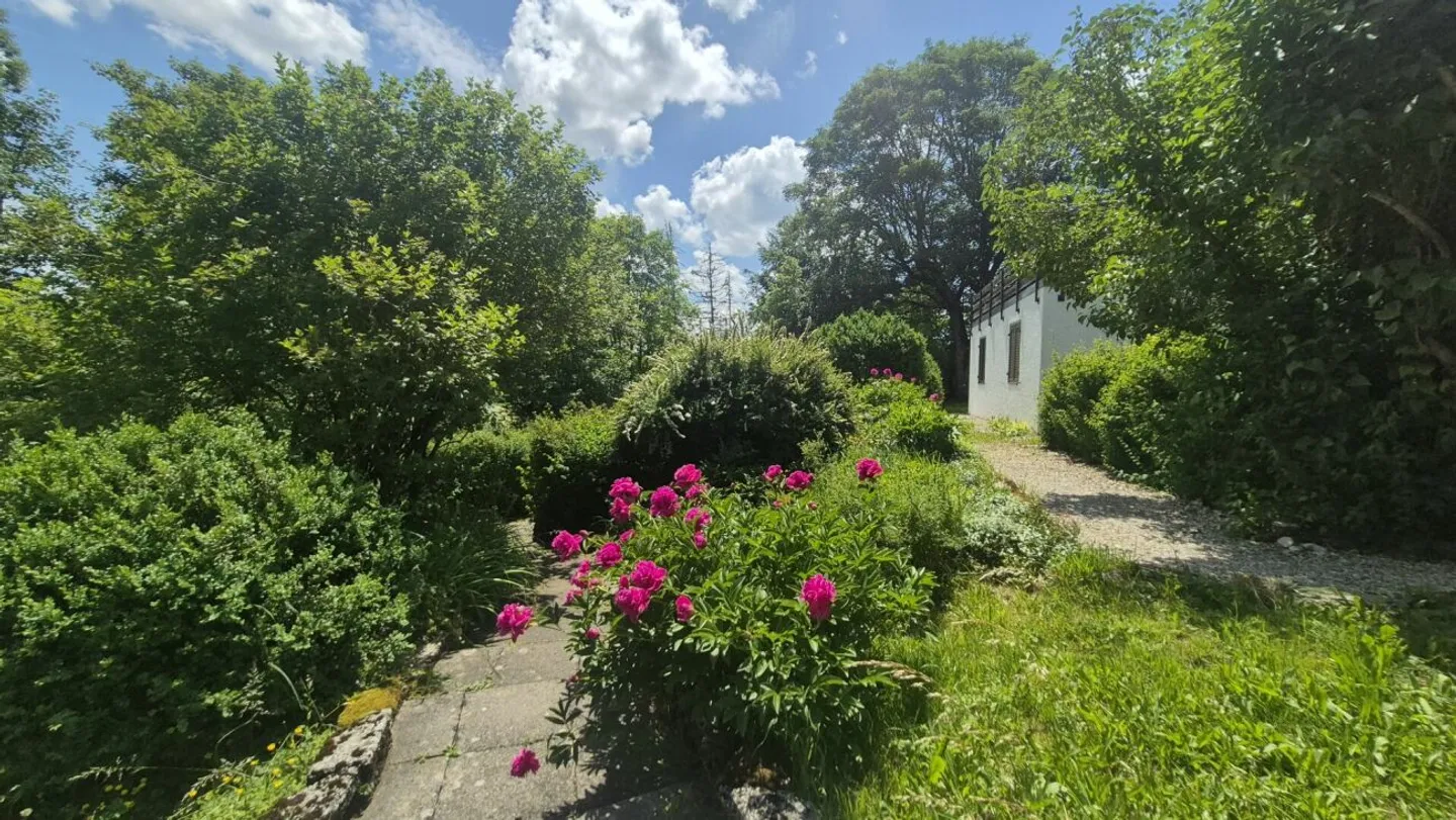 Magnifico appartamento di 2 stanze alle porte della natura - Foto 10 di 12