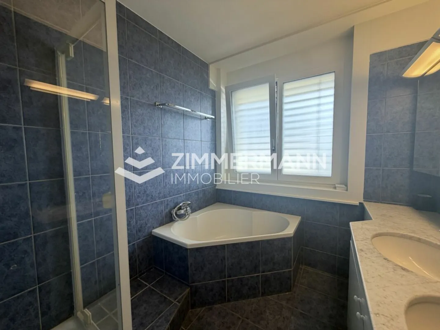 Superb Grange-Canal Penthouse in Real Estate Company (SI) - Photo 3 of 3