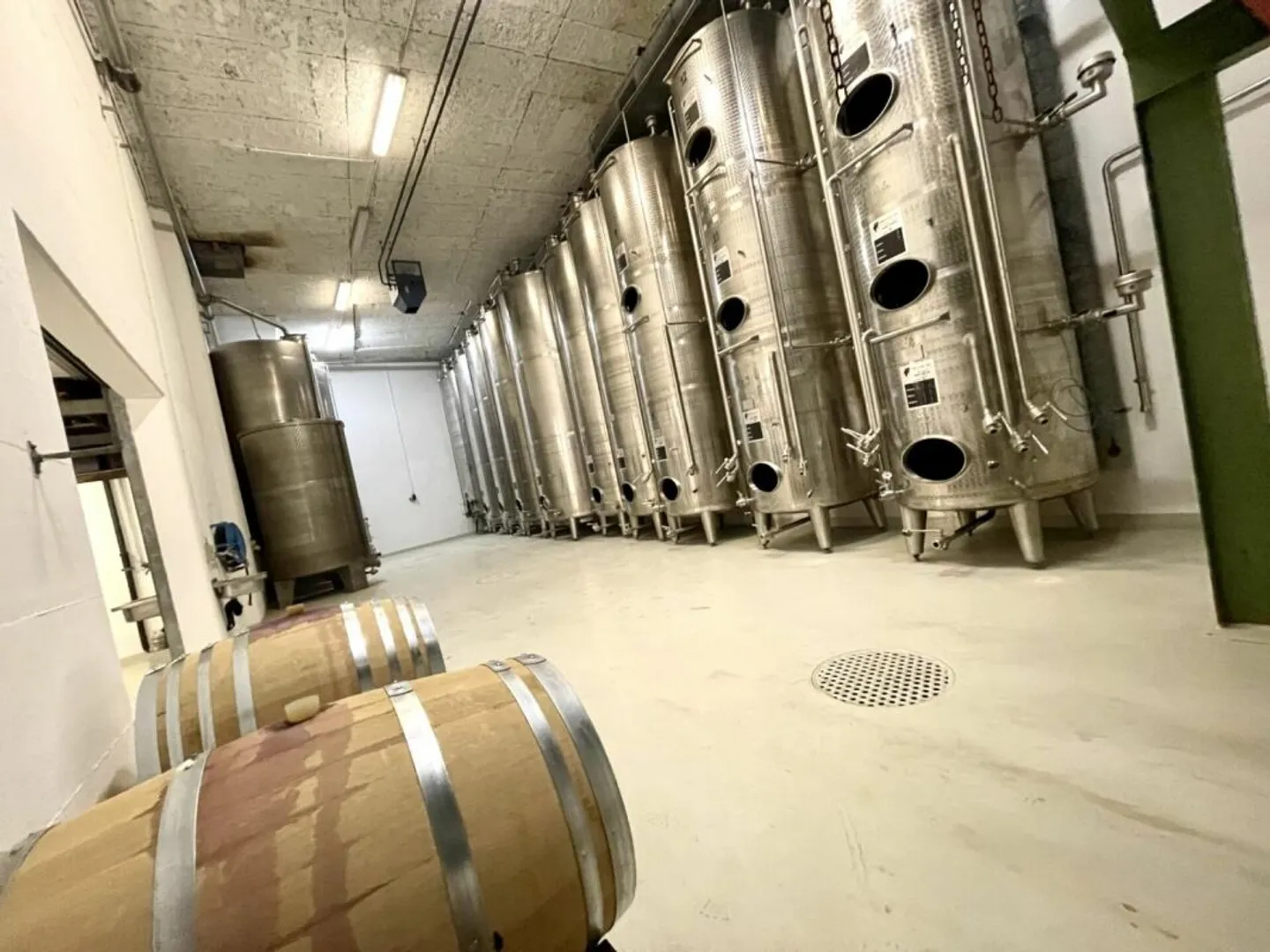 Azienda vinicola 10 stanze 578 m2 a Salgesch - Foto 2 di 13