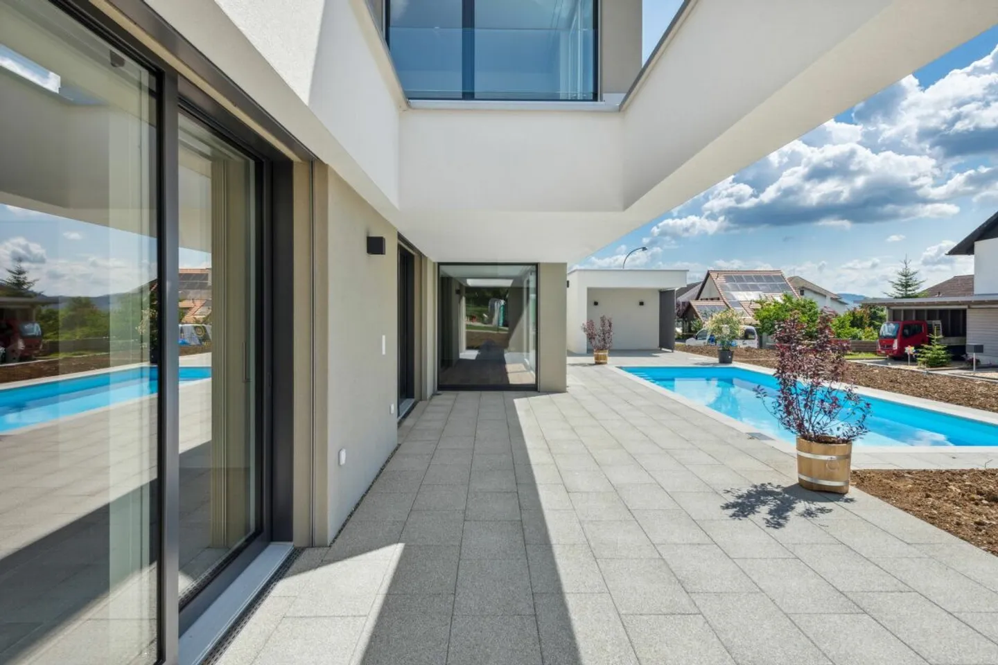 Vitis Vinifera - Photo 7 sur 12