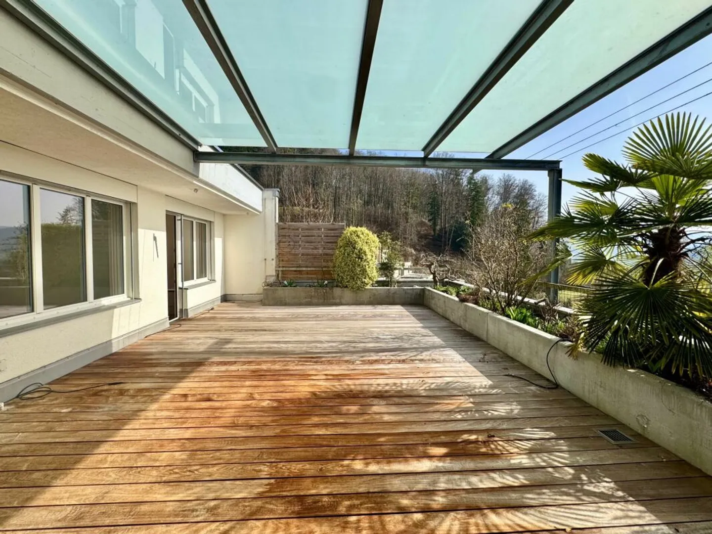 Natura, Pace e Sole - Vivere sull'Üetliberg con una Terrazza Imponente - Foto 8 di 13