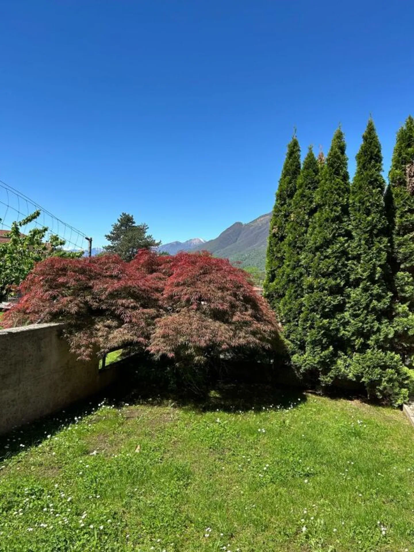 Stupenda casa in posizione residenziale - Foto 3 di 13