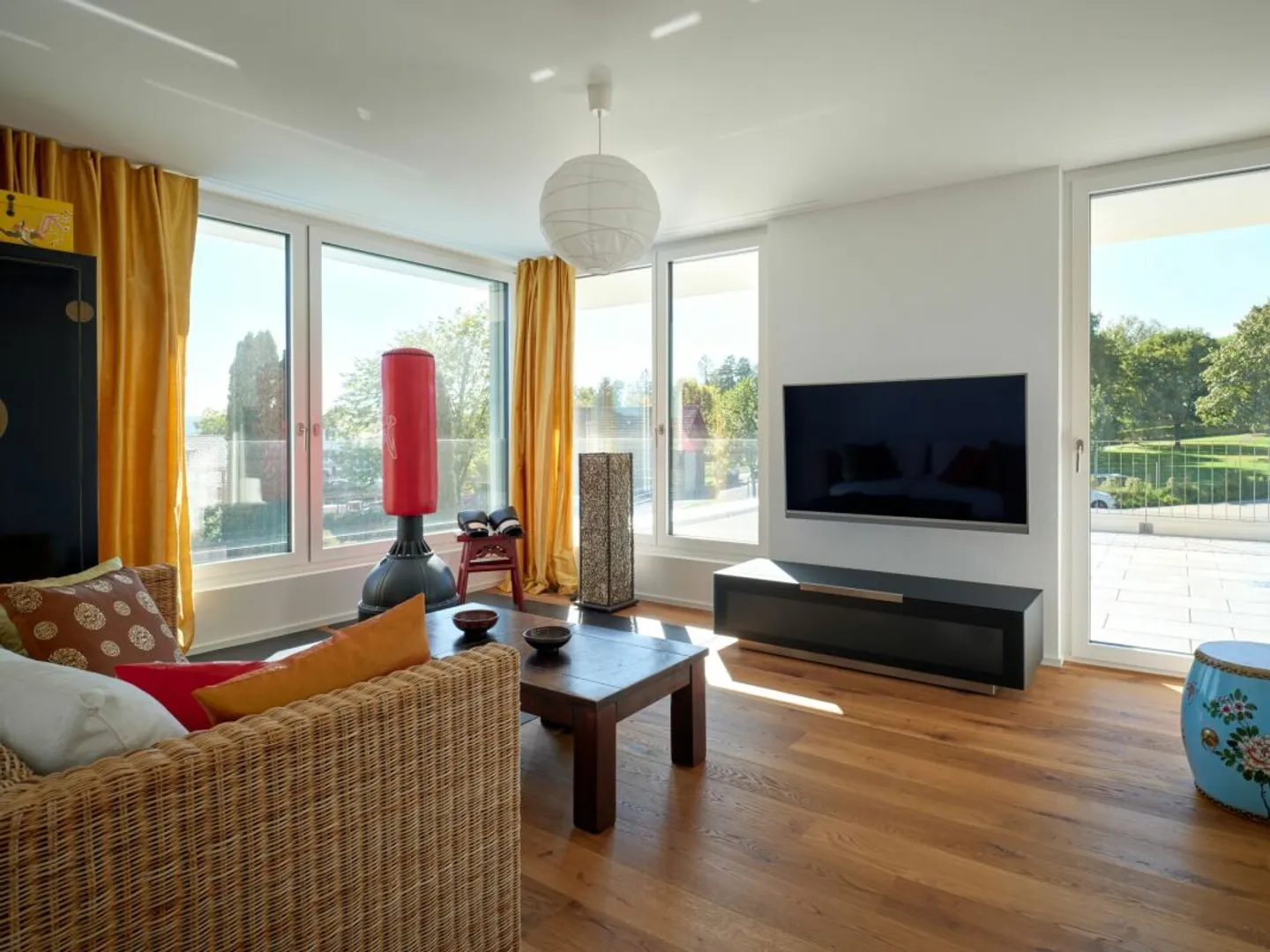 Vitis Vinifera - Photo 10 sur 12