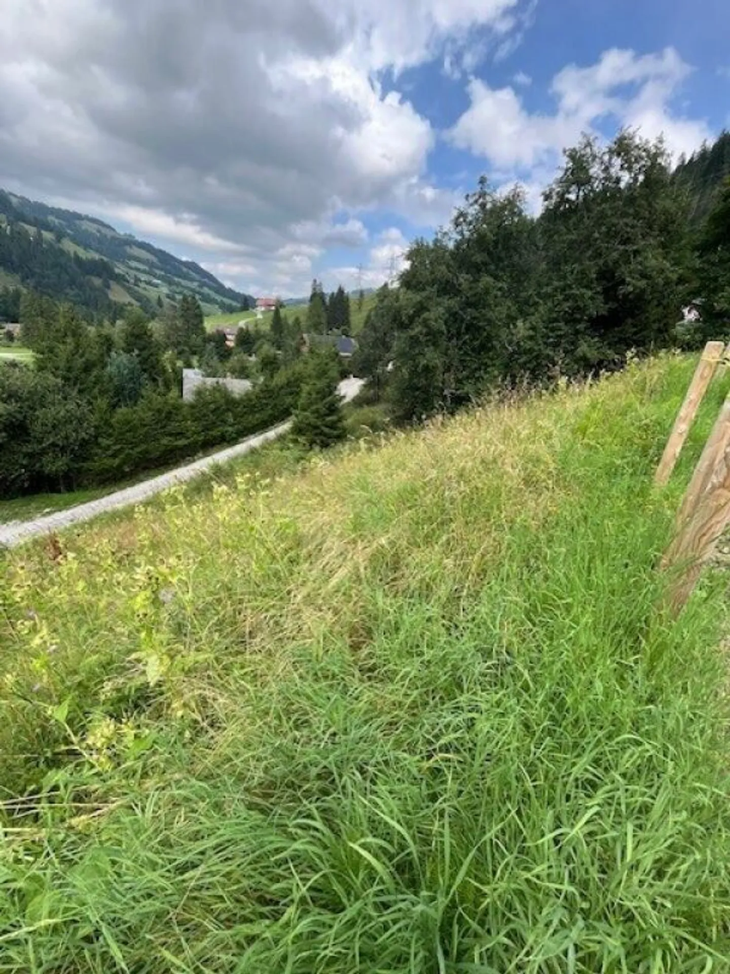 Terreno edificabile completamente sviluppato in posizione elevata a Plaffeien FR - Schwarzsee - Foto 7 di 13