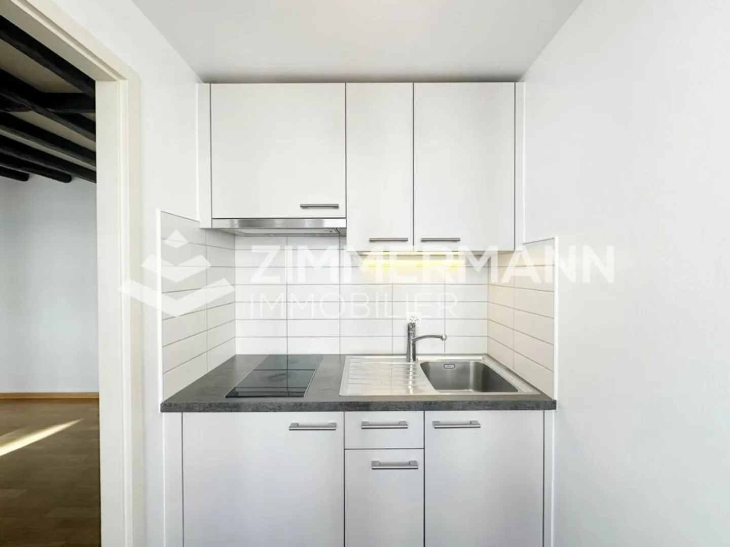 Old Carouge - Spacious studio with character! - Photo 3 of 5