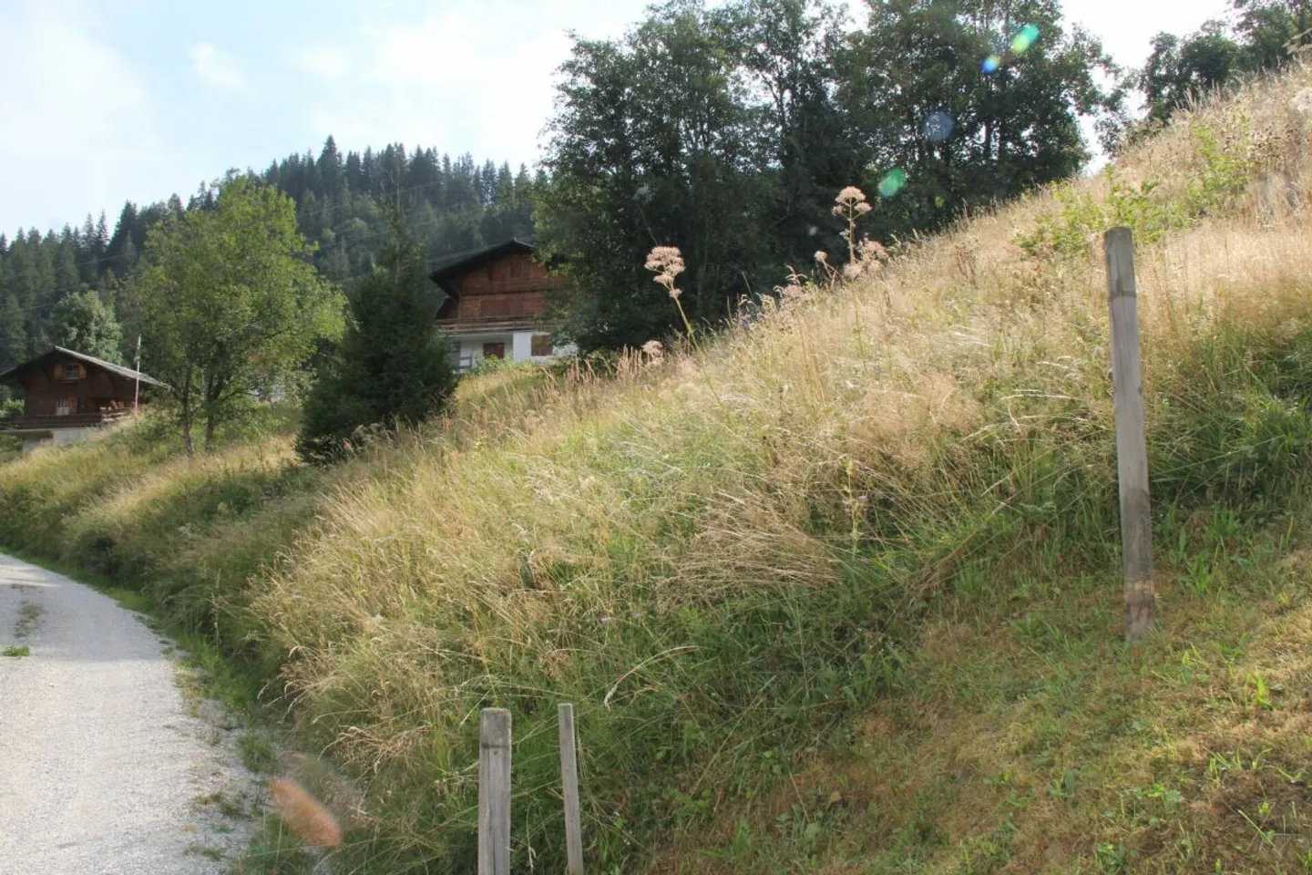 Grande lotto edificabile (906m2) con possibilità di acquistare il lotto adiacente - Foto 11 di 12