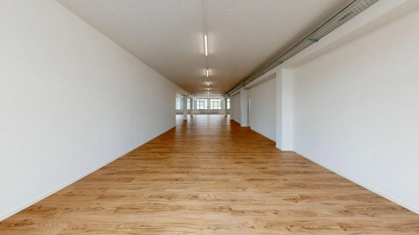 Two Attractive Rental Properties for Office, Studio and Commercial Use - Photo 7 of 13