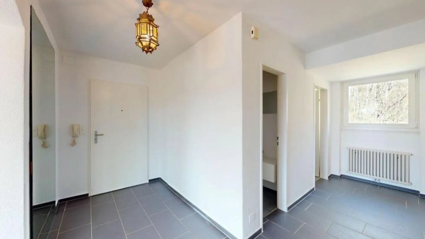 Nature, Paix et Soleil - Vivre sur l'Üetliberg avec une Terrasse Impressionnante - Photo 6 sur 11