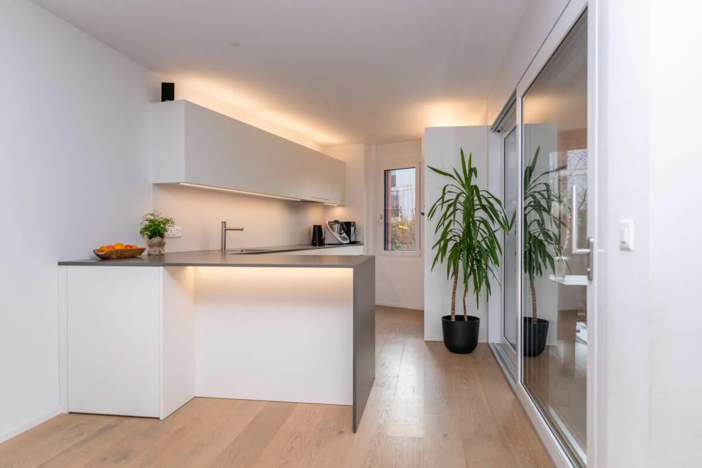 Modern, Sunny Garden Apartment - Photo 5 of 13